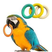 鸟玩具鹦鹉咀嚼积木配件鹦鹉玩具非洲灰鹦鹉适合小型鹦鹉适合大型鸟类锥尾金刚鹦鹉玩具 - 彩色 - 查看 2