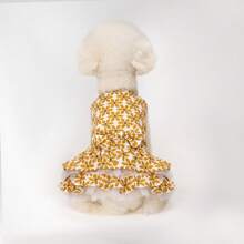 Robe d'été fleurie à la mode pour chien : respirante, légère, mignonne, convient aux chiens de taille moyenne et petite