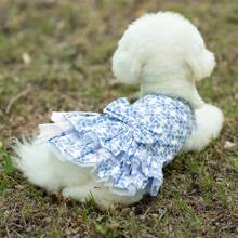 Robe d'été fleurie à la mode pour chien : respirante, légère, mignonne, convient aux chiens de taille moyenne et petite