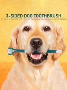 5 pièces Brosse à dents pour chien et chat, kit de brossage des dents pour chien. Brosse à dents pour chiots, brosse à doigt pour chien. Brosse à dents pour animaux de compagnie pour nettoyer les dents des chiens. Brosse à 3 côtés pour animaux de compagnie, nettoyage en TPR