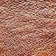Chocolate Brown
