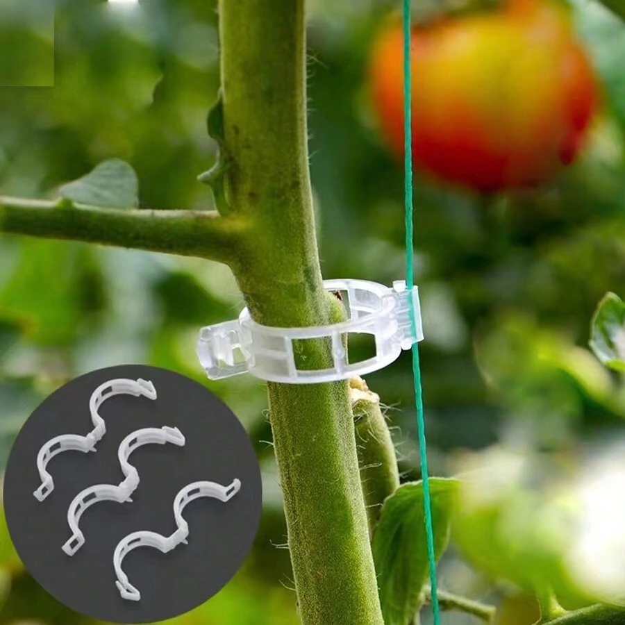 100pcs Plastic Plant Clips/Pumpkin Vine Clips/Vine Fixation Clips,Garden Tools, Gardening Tools For Garden - Transparent - View 1