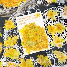 Flower Stickers Set (45 Pieces) Decorative Assorted Floral Sticker For Scrapbooking Planner Bullet Journals Supplies - Multicolor - View 16