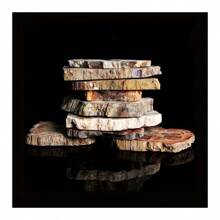 独特的马达加斯加硅化木化石标本 - 具有守护能量的天然石头，促进持久活力和青春 - 适合任何场合的理想礼物 - 1pc random - 查看 6