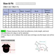 1 件宠物万圣节木乃伊印花运动衫，适合猫狗、秋冬季节和节日 - 米色 - 查看 3