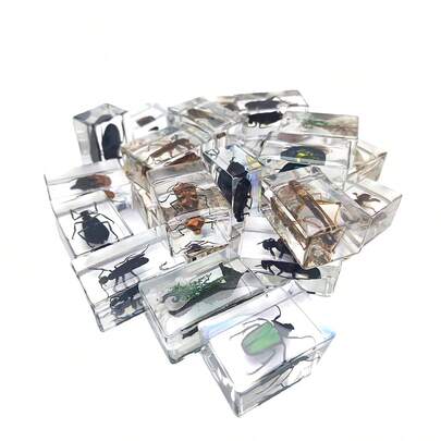 1件独特的原始森林自然昆虫模型（加厚），高透明度永久保存透明树脂天然昆虫创意小摆件，圣诞礼物，蝎子、蜘蛛、蝴蝶、甲虫、蜜蜂、螃蟹、海马、蜈蚣、臭虫、翠绿大黄蜂、蚱蜢、黄蜂、蜻蜓、犀金龟，标本收藏，昆虫识别教学工具，最佳圣诞小礼物