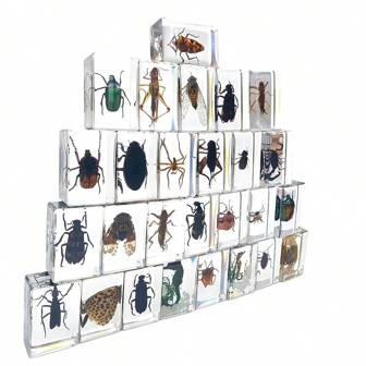 1 pieza Nuevo modelo de insecto natural de bosque, (reforzado) insecto natural permanentemente preservado en resina de alta transparencia para decoración creativa, regalo de Navidad - Escorpión, araña, mariposa, escarabajo, abeja, cangrejo, caballito de mar, ciempiés, saltamontes, avispa joya verde, libélula, escarabajo rinoceronte, colección de especímenes, herramienta de enseñanza para identificación de insectos