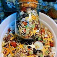 400pcs Natural Seashell Specimens Including 6 Types Of Super Small Sea Shells (Comes With A Glass Jar) - Multicolor - View 4