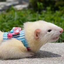 1pc /Adjustable Stripe Bowtie Chest Vest Harness Leash Set - Comfortable Outdoor Walking Gear For Small Pets - Suitable For Hamsters, Rabbits, Ferrets, Rats With Traction Rope And Cute Bowknot Design, The Buckles Are Slightly Different, S Sizes Are All Pink, And M Sizes Are All Black,