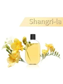 50ml Ätherische Öle zum Verdampfen, duftende Öle für Luftbefeuchter, Aroma Sprühgerät, Duftkerzen, Seifenherstellung, Wäsche, Aromatherapie, Raumduft, Diffuser, Geschenk, Heimdekoration, Geschenke zu Geburtstag und Abschluss