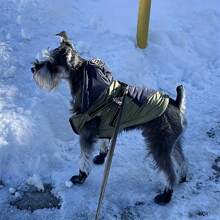 4pcs Waterproof Anti-Slip Boots With Adjustable Straps, Silicone Shoes - Black - View 3