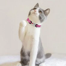 Spersonalizowana medyczna obroża dla psa, wsuwana, emocjonalna zawieszka dla zwierząt domowych, identyfikator - niestandardowy grawerowany identyfikator dla kota - ozdoba obroży dla zwierząt domowych, trwała i stylowa