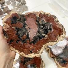 独特的马达加斯加硅化木化石标本 - 具有守护能量的天然石头，促进持久活力和青春 - 适合任何场合的理想礼物 - 1pc random - 查看 17