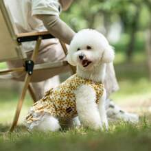 Robe d'été fleurie à la mode pour chien : respirante, légère, mignonne, convient aux chiens de taille moyenne et petite
