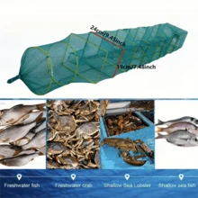 1 Máy Tính Di Động Lưới Đánh Cá, Bẫy Tôm Hùm, Tôm Càng Lưới Đánh Cá, Có Thể Gập Lại Lưới Đánh Cá Phụ Kiện Câu Cá Dụng Cụ - màu xanh lá - Xem 3