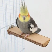 Soporte de madera de abeto natural para loro, barra sólida de madera, plataforma de descanso, trampolín para jaula de aves, accesorios de juguetes para aves