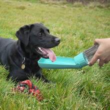 1 个 550 毫升（19 盎司）便携式可折叠宠物水瓶，带 150 度旋转大水槽，适用于狗和猫 - 彩色 - 查看 1