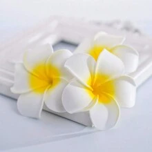 2 chiếc kẹp tóc hình hoa sứ Hawaii bằng xốp trắng 6cm dành cho nữ, kiểu dáng Boho, thích hợp cho ngày Valentine, phụ kiện tóc, phụ kiện đội đầu, phụ kiện tóc cho nữ, ghim cài tóc. - Nhiều màu - Xem 3
