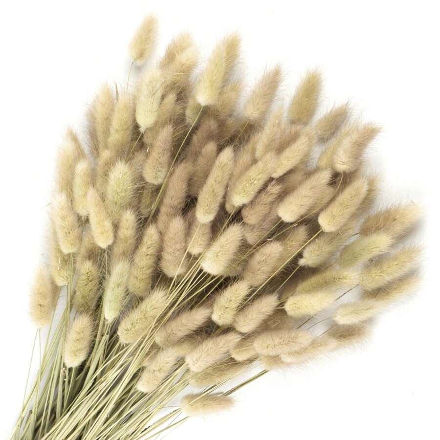 120 PCS Dried Flowers Rabbit Tail Grass Rabbit Tail For Dried Flowers ...