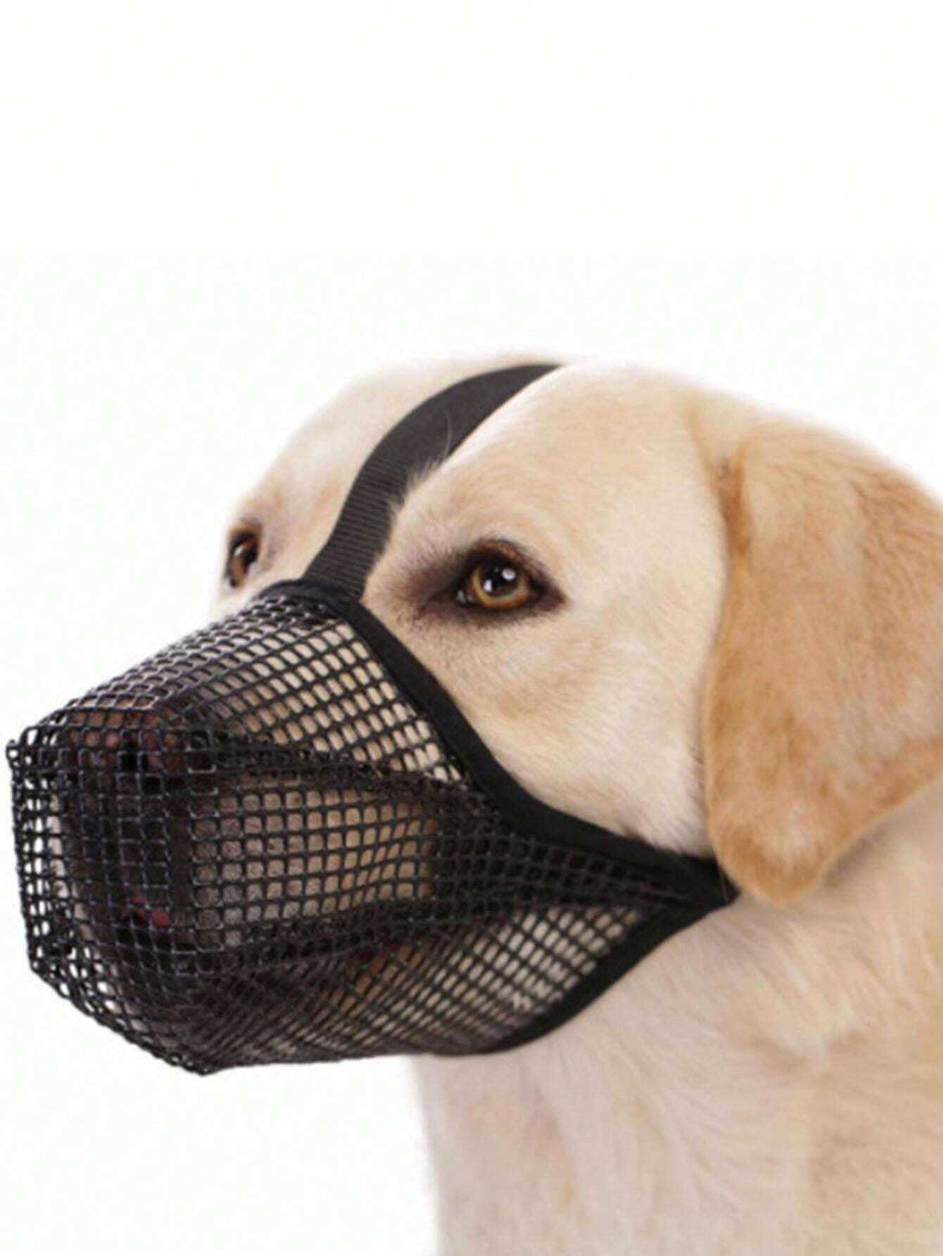 Muselière pour chien de compagnie, muselière antimastication et antiaboiement pour petits