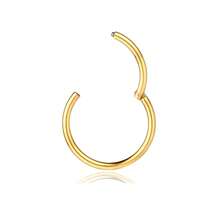 1 件装 Clicker 铰链鼻环 G23 钛合金防过敏 16G 鼻中隔穿孔环节环环唇环、耳蜗软骨耳环耳屏海螺耳甲耳轮穿孔首饰 6 毫米 8 毫米 10 毫米、耳垂耳环、肚脐环乳头环男女身体穿孔首饰