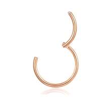 1 件装 Clicker 铰链鼻环 G23 钛合金防过敏 16G 鼻中隔穿孔环节环环唇环、耳蜗软骨耳环耳屏海螺耳甲耳轮穿孔首饰 6 毫米 8 毫米 10 毫米、耳垂耳环、肚脐环乳头环男女身体穿孔首饰