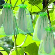 10pcs Fruit Protection Bags, Fruit Net Bags, Fruit Covering Net Bags, Drawstring Garden Fruit Tree Protection Mesh Bags, Green - Multicolor - View 2