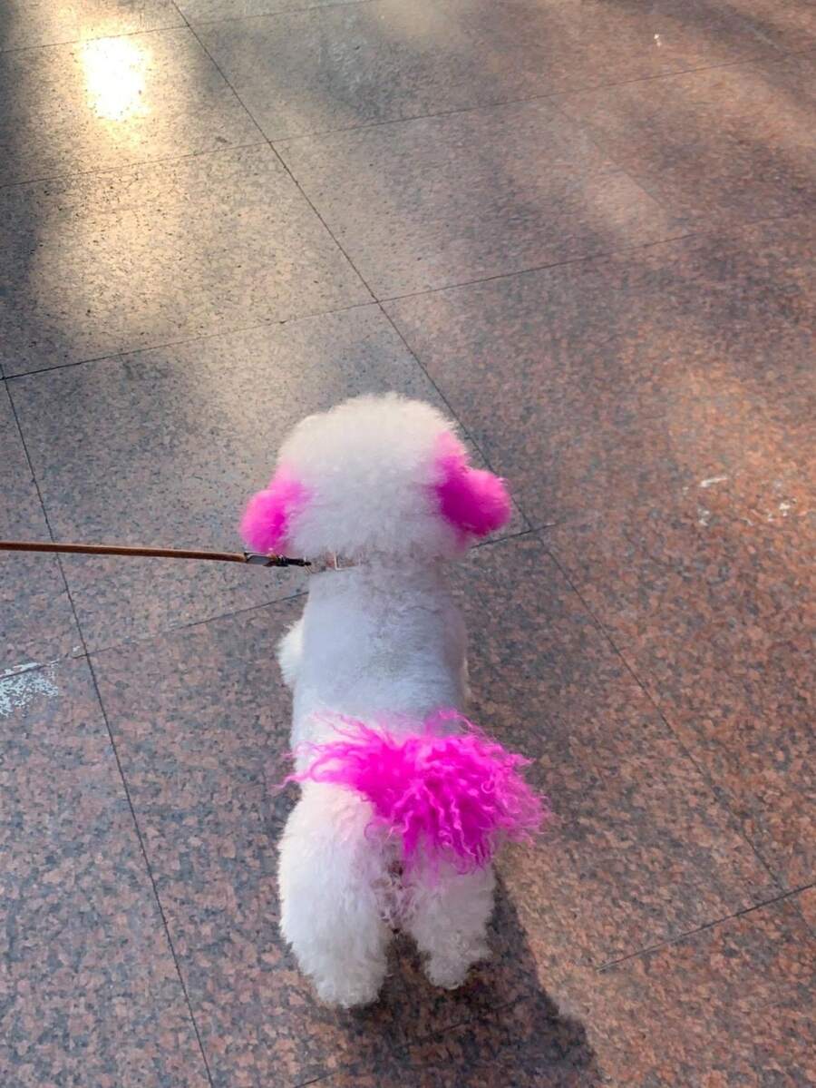 Pet Safe NonIrritating Fruit Scented Hair Dye, Direct Application For