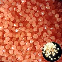 200pcs 0.39-0.59in Glow In The Dark Stones, Vase Filler, Luminous Rocks, Aquarium Fish Tank Decorative Stones, Fake Jewel Plastic Gems Powered By Light Or Solar, Colorful Pebbles, Decorative Rocks, Flower Pot Fillers - Multicolor - View 4