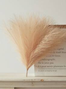 5 件/15 件/30 件人造蒲苇 16.5 英寸人造蒲苇羽毛装饰蓬松假蒲苇枝花瓶填充物波西米亚风农舍婚礼装饰、情人节、生日毕业礼物、秋季装饰、秋季 - 香檳色 - 查看 7