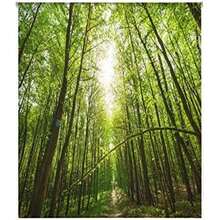 Ecommerc3 Digital Translucent Roller Blind Size 130x180 - Translucent Roller Blind Fabric Size 127x175 - Model W-P-48493 Blind