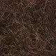 Braun