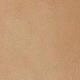 Beige Yellow