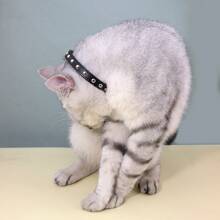 1pc PU Leather Studded Collar For Small-Large Dogs & Cats