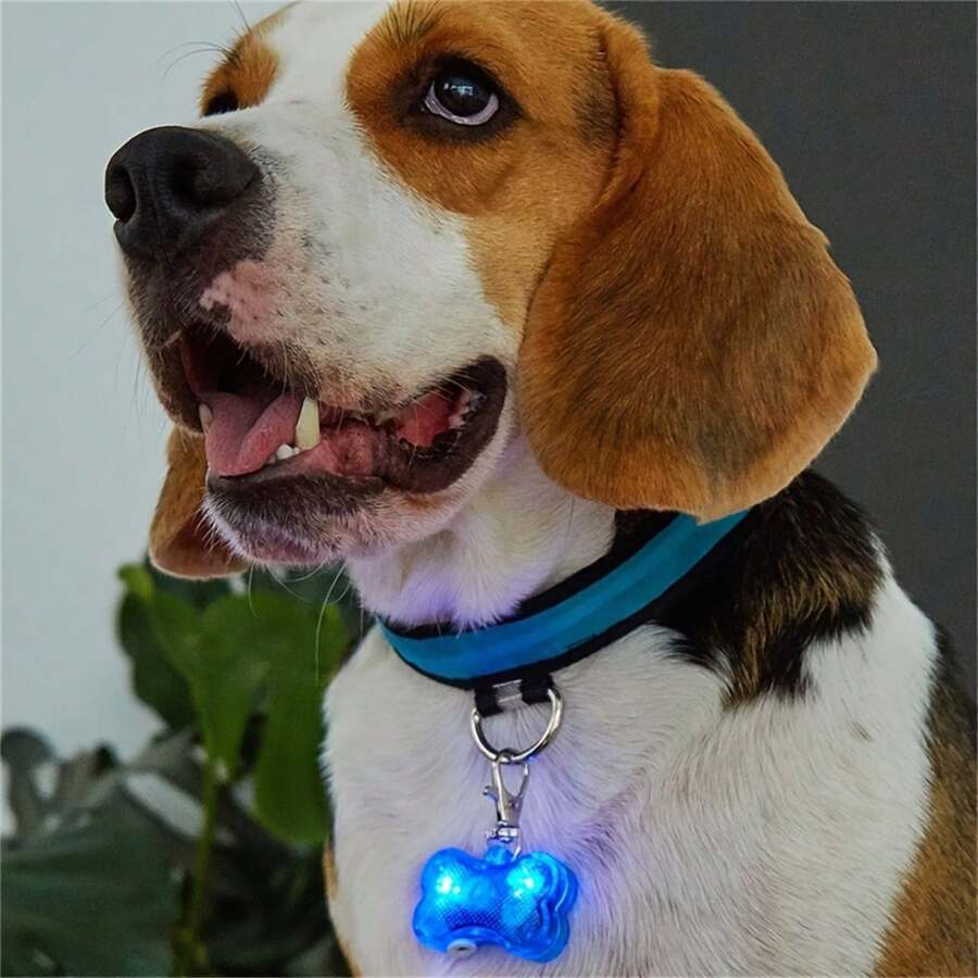 1 mặt dây chuyền hình xương chó có đèn LED, vật dụng chống thất lạc cho thú cưng - Nhiều màu - Xem 1