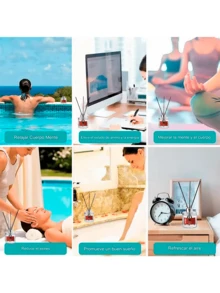 Reed Diffuser Sticks - โอกาส - ดู 4