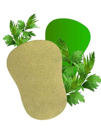 60片艾蒿足贴，含植物精华，温和日常足部护理