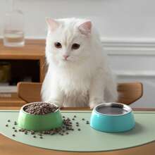 1 tấm thảm ăn bằng silicon có thể gấp lại dành cho thú cưng, thiết kế tối giản dành cho mèo và chó - Nhiều màu - Xem 6