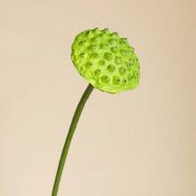 1 件人造莲花，逼真的假花非常适合家庭花瓶装饰、餐厅、卧室、插花、婚礼、新娘手捧花、腕花、胸花 DIY 材料、生日派对装饰材料、情人节新年礼物、秋季农舍装饰、房间装饰 - 彩色 - 查看 5