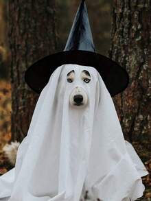 12 piezas Sombreros de bruja de Halloween con cordón de 2000 cm de largo, estilo aleatorio para decoración de patio de Halloween - Negro - Ver 6