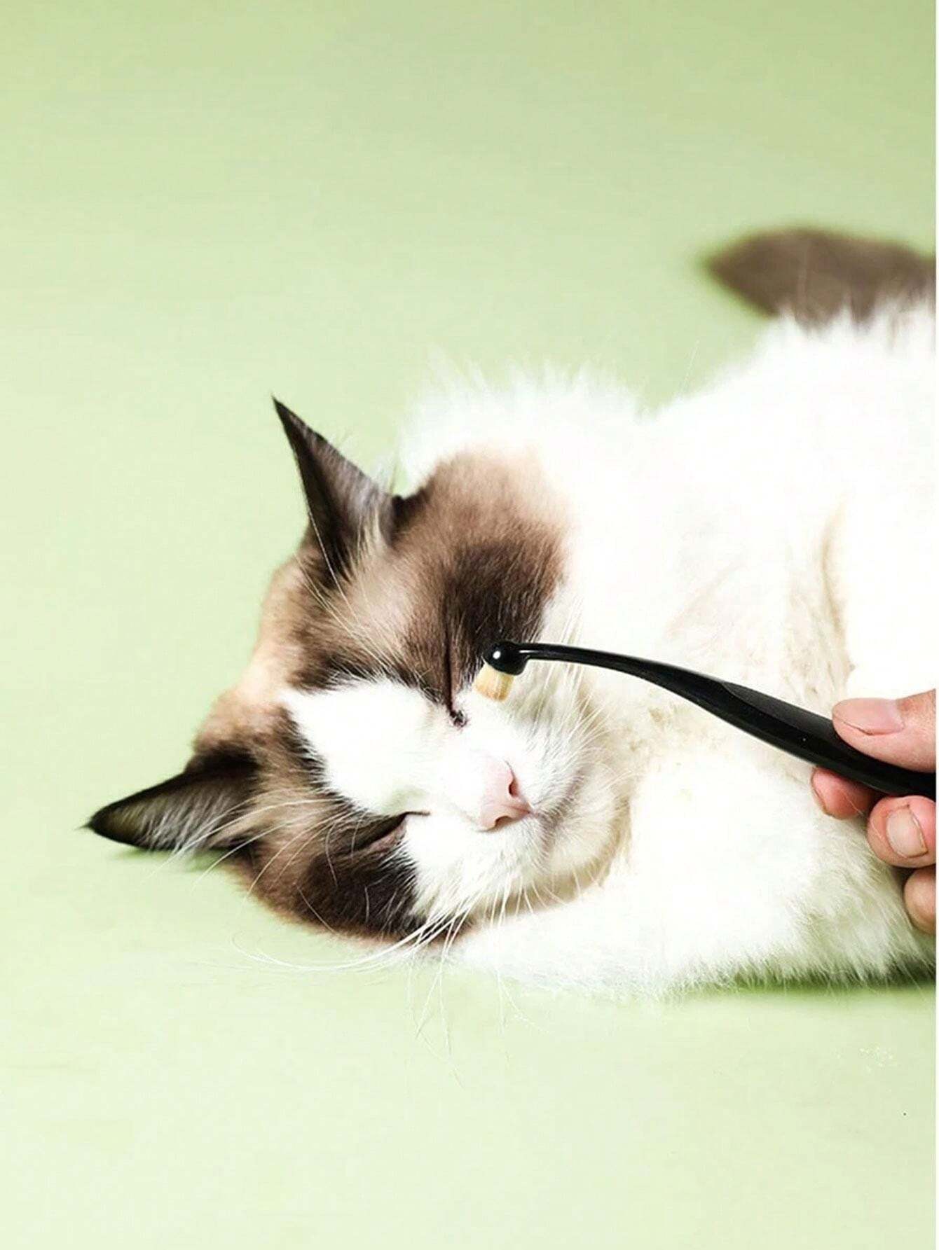 1pc Pet Tear Stain Brush, Eye Area Cleaning Brush For Cats And Dogs for