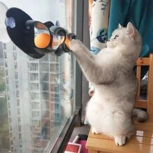 Kệ cửa sổ cho mèo Đồ chơi, Đồ chơi bóng hút tường cho mèo - Nhiều màu - Xem 4