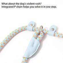 Medium-Large Dog Leash, Universal Safety Buckle Dog Collar & Leash Set, Anti-Pull Walk - Multicolor - View 4