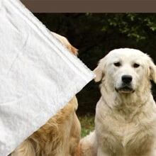 1pc Personalised Flannel Blanket With Multiple Photos, Customize Pet Photos,Cute Puppy Photo,HD Print Custom Photo Blanket, Commemorative Blanket, Great Holiday Gift