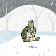 1 件刺绣森林音乐会动物熨烫贴片衣服装饰贴片小斑马刺猬布料贴纸夏季，学校 - as shown - 查看 9