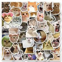 50PCS Funny Cat Stickers Vinyl Aesthetics Stickers For Scrapbooking, Diary, Laptop, Bumper, Skateboard, Water Bottle, Computer, Phone, Cartoon, Hard Hat, Car Stickers And Decals - Multicolor - View 1