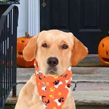 Bandanas de Halloween para perros, pañuelos triangulares para mascotas lavables, pañuelos para el cuello de mascotas, baberos para perros, con diseños de calabaza, fantasma, maíz de caramelo y huesos, talla mediana