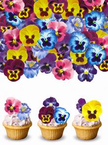 60 件蛋糕花用于蛋糕装饰三色堇花纸杯蛋糕装饰蝴蝶花蛋糕装饰威化纸花蛋糕装饰用于婚礼蛋糕生日派对食物装饰 - 彩色 - 查看 3