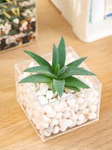 1pc  Transparent Plastic Square Vase, Hydroponic Plant Container For Home, Office, Dining Room Decor - Transparent - View 8