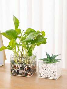 1pc  Transparent Plastic Square Vase, Hydroponic Plant Container For Home, Office, Dining Room Decor - Transparent - View 3